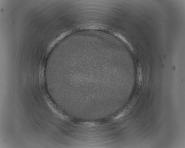 X0000082740394200702091908