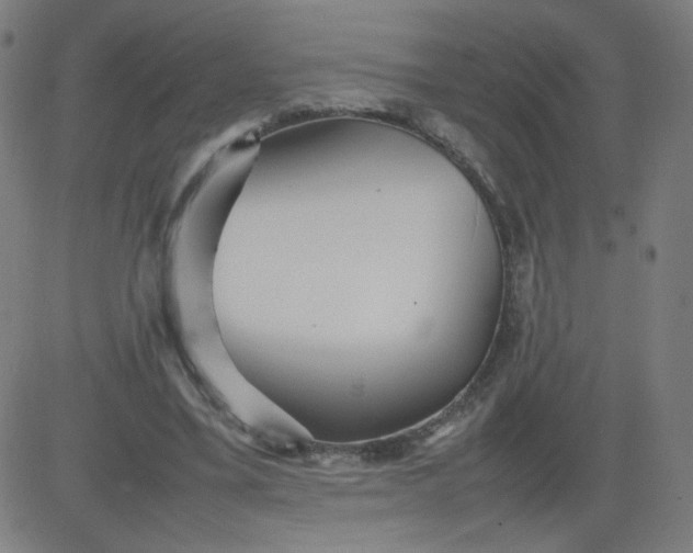 X0000082740395200702091908