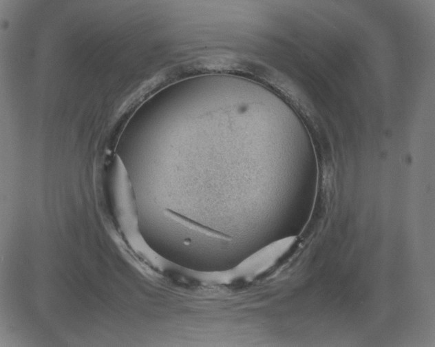 X0000082740397200702091908