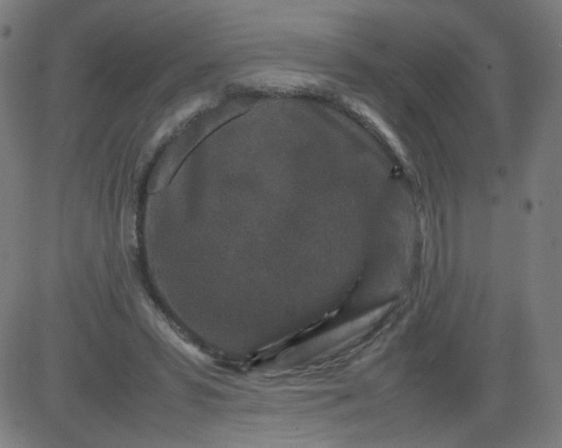 X0000082740399200702091908