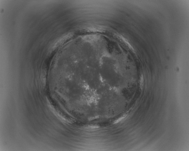 X0000082740402200702091908