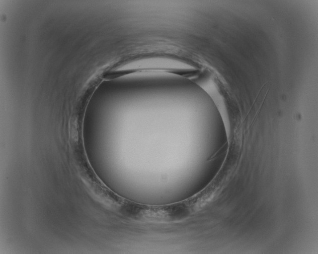 X0000082740403200702091908