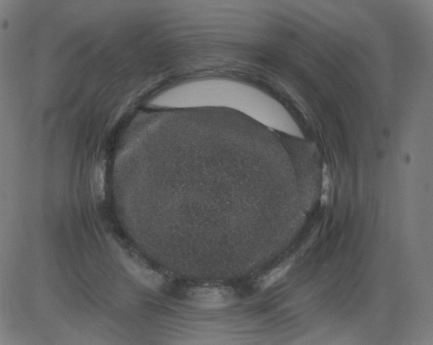 X0000082740404200702091908