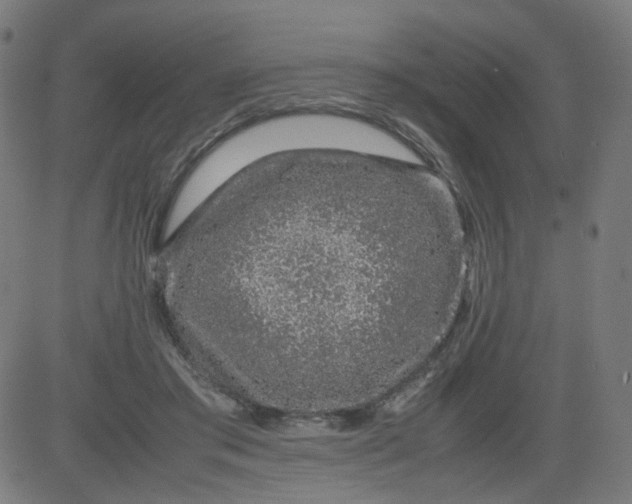 X0000082740405200702091908