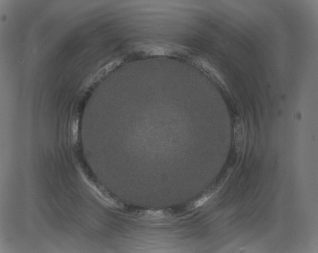 X0000082740406200702091908