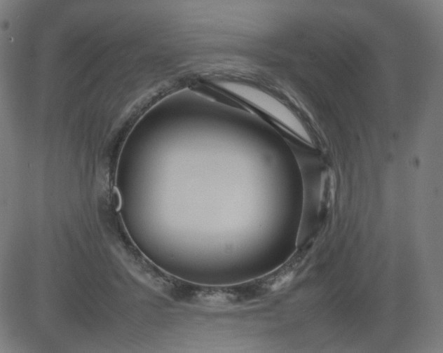 X0000082740407200702091908