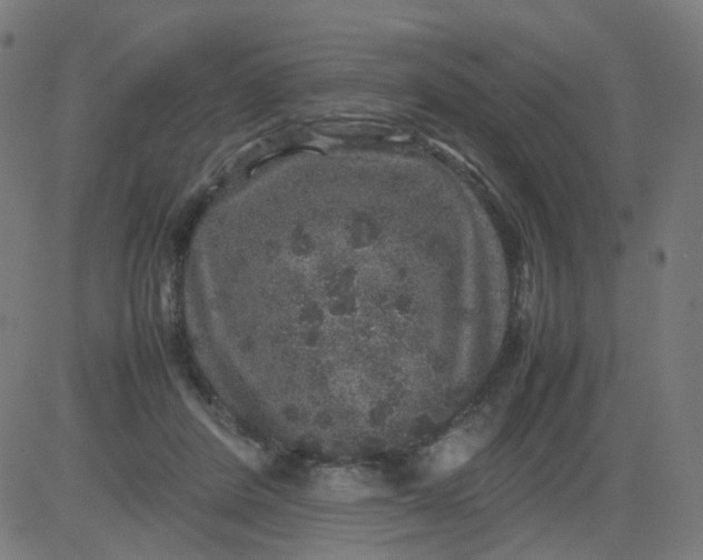 X0000082740408200702091908