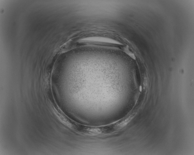 X0000082740409200702091908