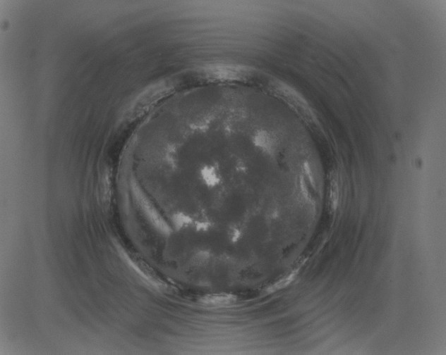 X0000082740410200702091908