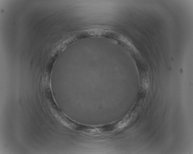 X0000082740411200702091908