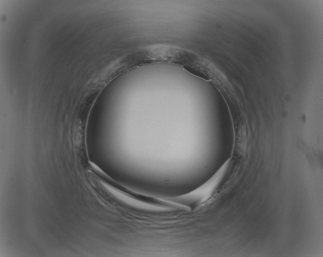 X0000082740413200702091908