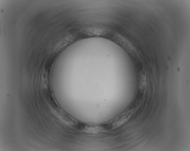 X0000082740414200702091908