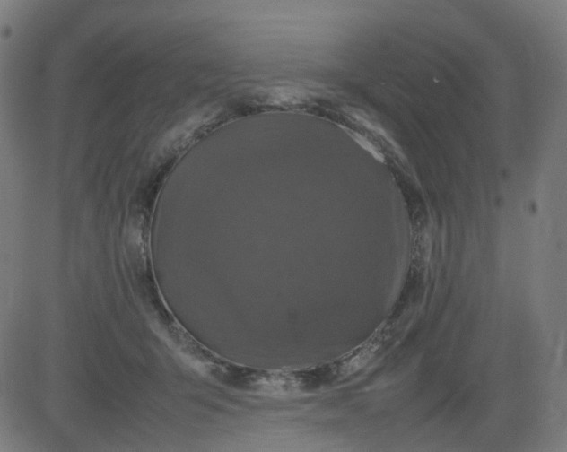 X0000082740415200702091908