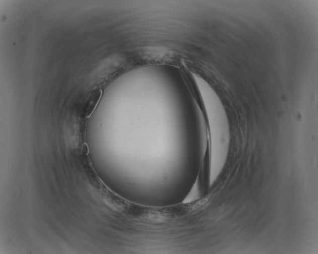 X0000082740416200702091908