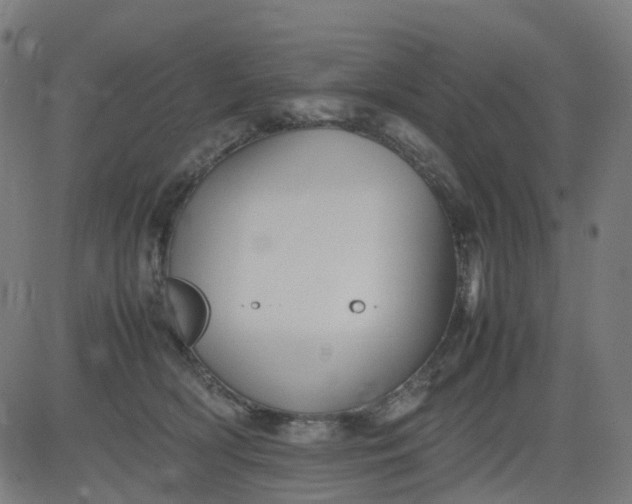 X0000082740418200702091908