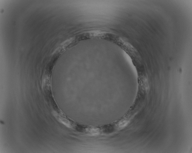 X0000082740419200702091908