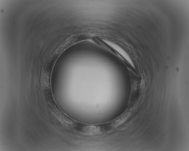 X0000082740421200702091908