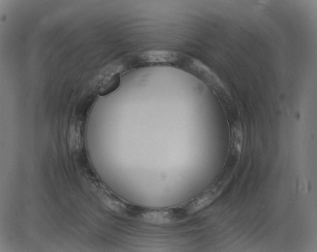 X0000082740422200702091908