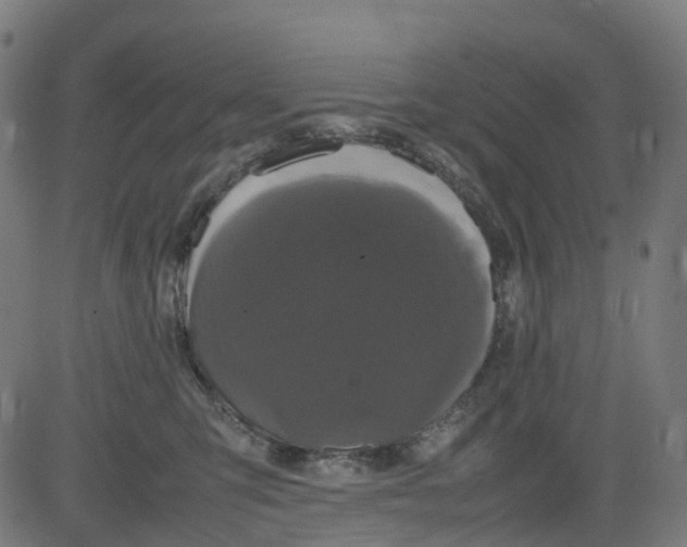 X0000082740423200702091908