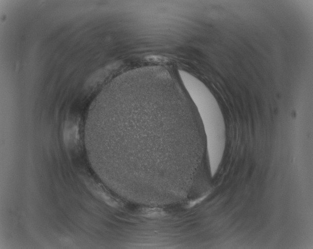 X0000082740424200702091908