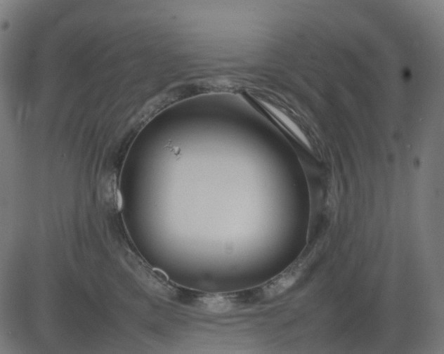 X0000082740425200702091908