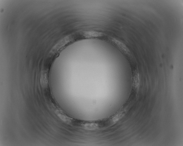 X0000082740426200702091908