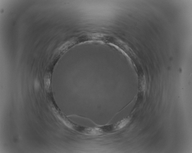 X0000082740427200702091908