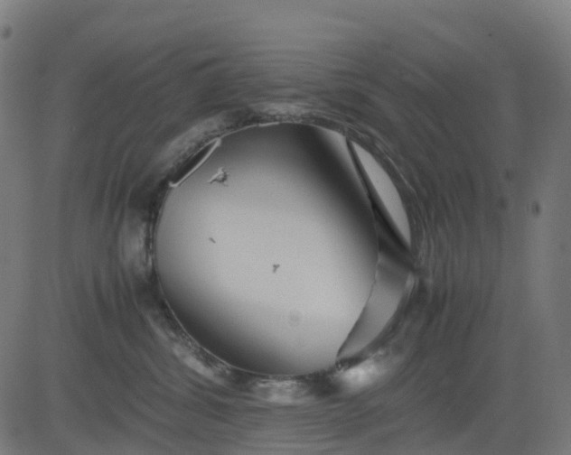 X0000082740428200702091908