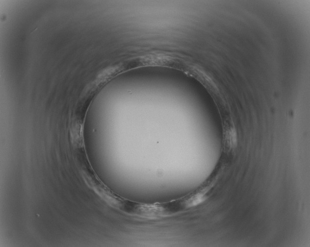 X0000082740429200702091908