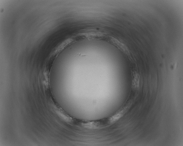 X0000082740430200702091908