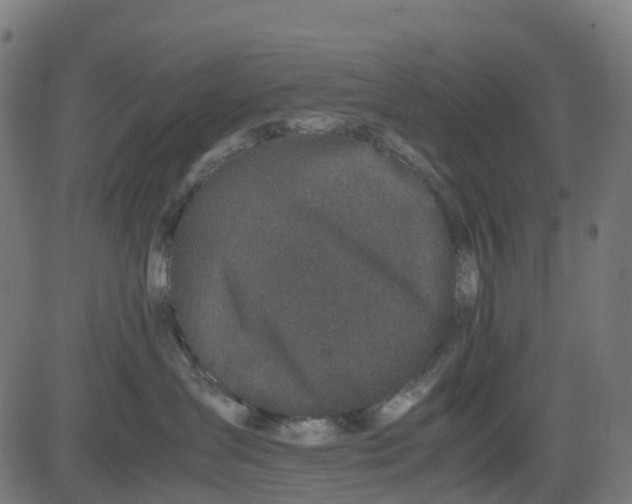 X0000082740431200702091908