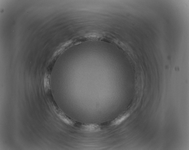 X0000082740432200702091908