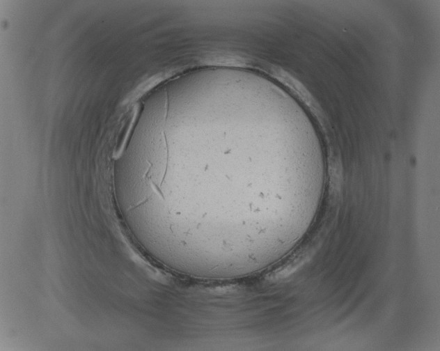 X0000082740433200702091907