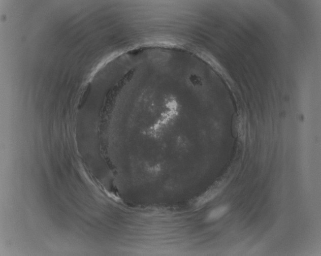 X0000082740434200702091907