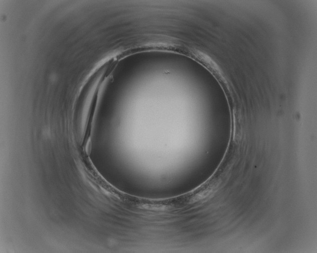 X0000082740435200702091907