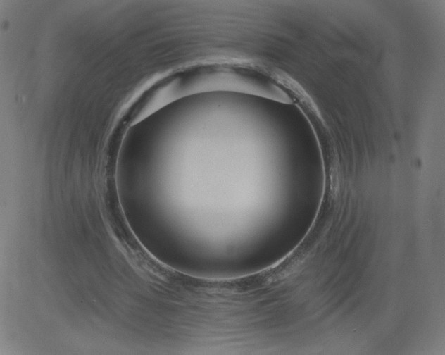 X0000082740436200702091907