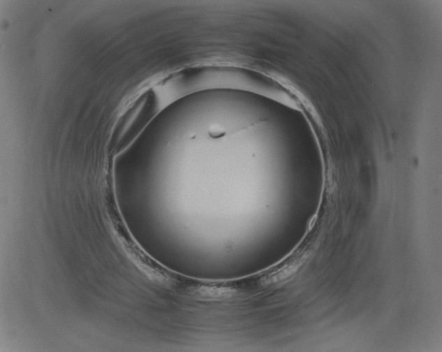 X0000082740437200702091907