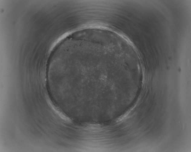 X0000082740438200702091907