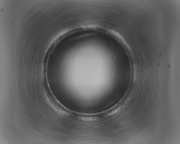 X0000082740439200702091907