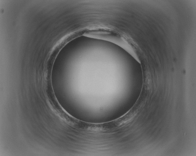 X0000082740440200702091907