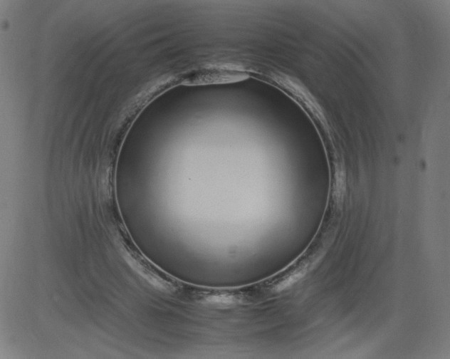 X0000082740441200702091907