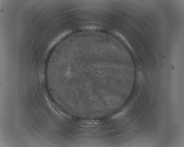 X0000082740443200702091907