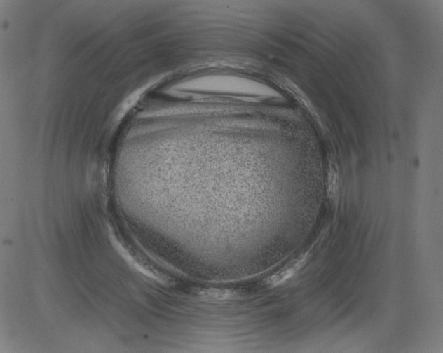 X0000082740444200702091907