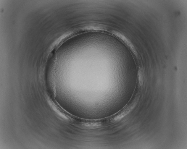 X0000082740445200702091907