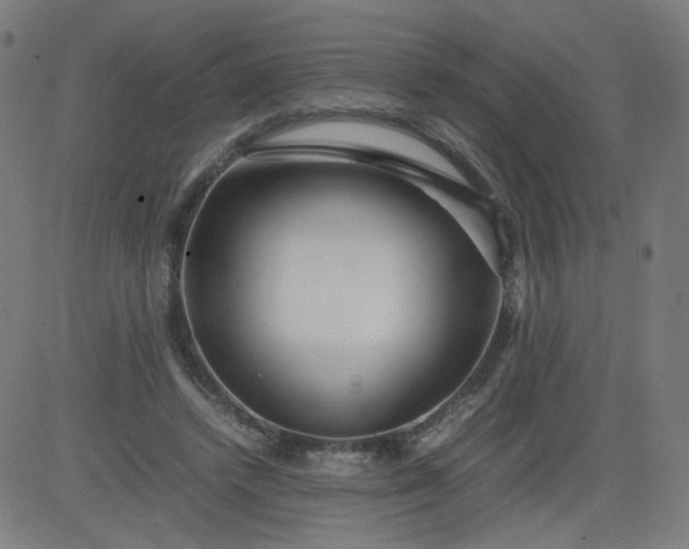 X0000082740448200702091907