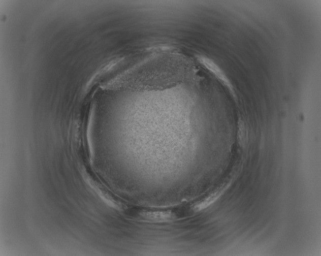 X0000082740449200702091907