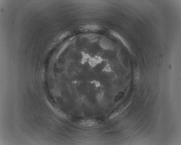 X0000082740451200702091907