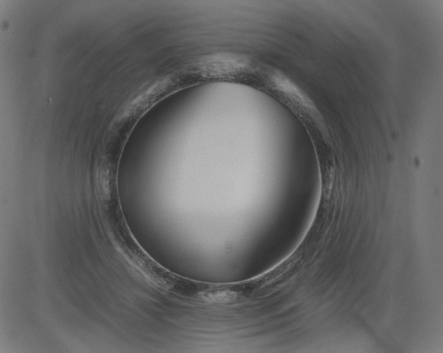 X0000082740452200702091907