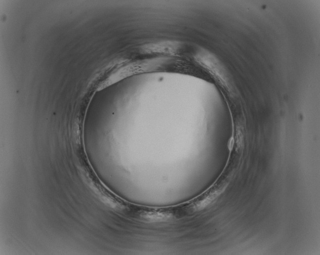 X0000082740453200702091907