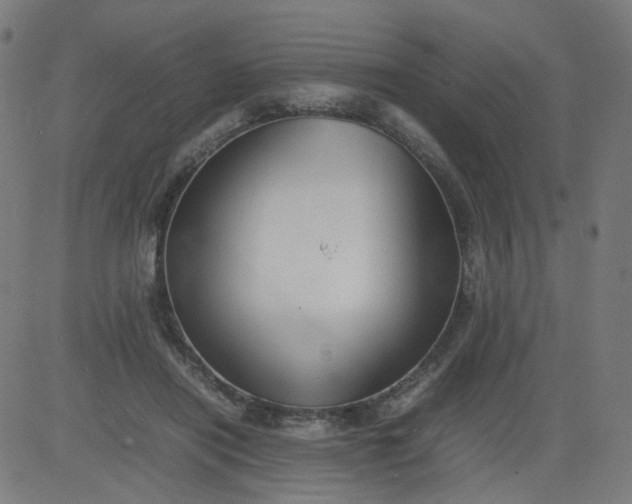 X0000082740454200702091907